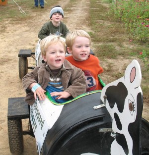 All three boys loved the Cow Train.