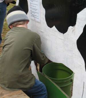 Joshua learning to milk a cow.